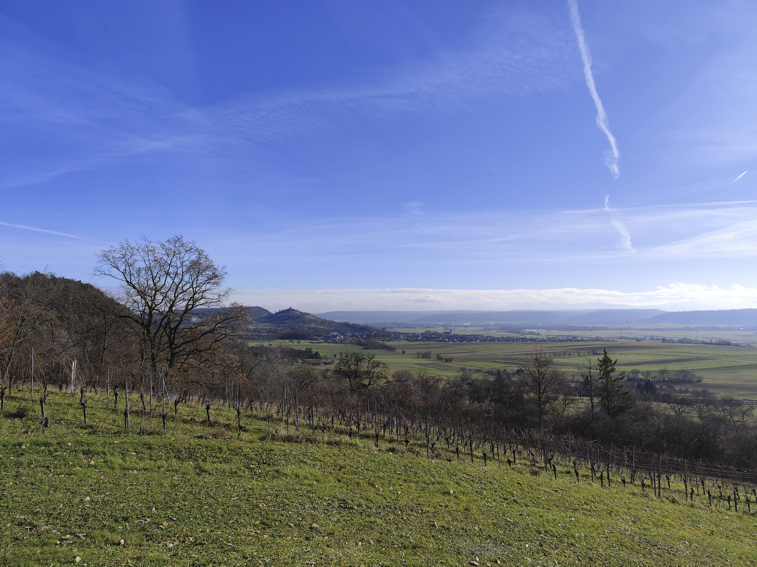 20251129114504 IMG 20251129 114504